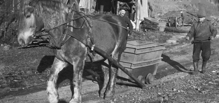 Semla-Gösta och hans häst Brunte med ovanligt ekipage ovan jord – en gruvvagn