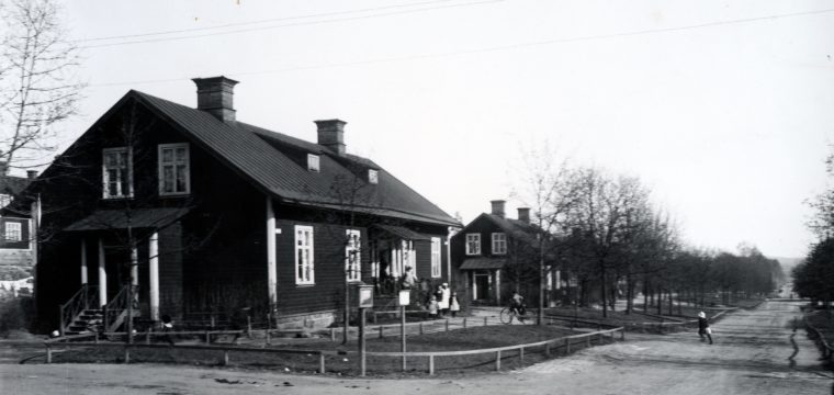 Allé planterad av von Rosen, foto Dalavägen åt söder från korsningen med Vasavägen. 1911