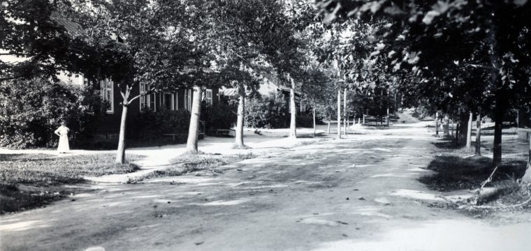 Allé planterad av Magnus von Rosen vid Sturevägen – Dalavägen, foto ca 1915