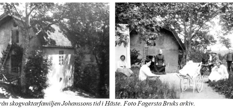 Bilder från skogvaktarfamiljen Johanssons tid i Häste just