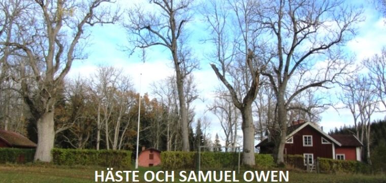 Semesterhemmet Häste och Samuel Owen