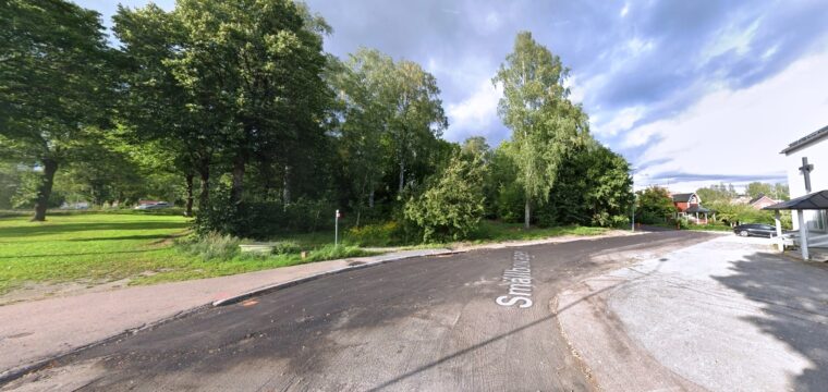 Idag har björkarna åter tagit över Simon Lundgrens tomt, foto Google Maps